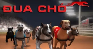 Hướng Dẫn Cách Chơi Game Nhanh Đua Chó Tại AE888 Chuẩn Xác Nhất 1 Hướng Dẫn Cách Chơi Game Nhanh Đua Chó Tại AE888 Chuẩn Xác Nhất