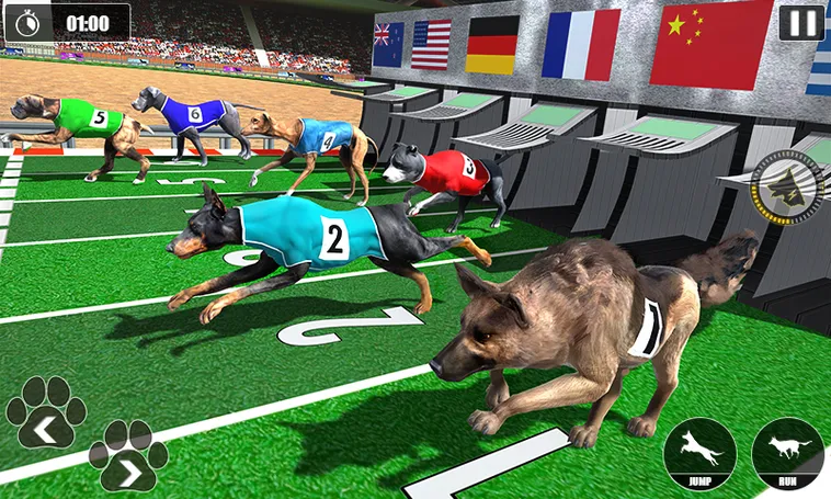 Hướng Dẫn Cách Chơi Game Nhanh Đua Chó Tại AE888 Chuẩn Xác Nhất 2 Hướng Dẫn Cách Chơi Game Nhanh Đua Chó Tại AE888 Chuẩn Xác Nhất